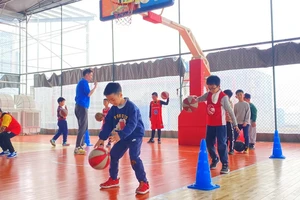  哪里有适合青少年篮球选手的心理训练课程：全面解析与推荐